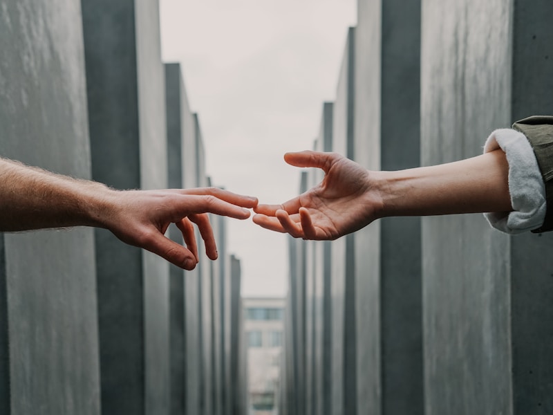Mental wellness support